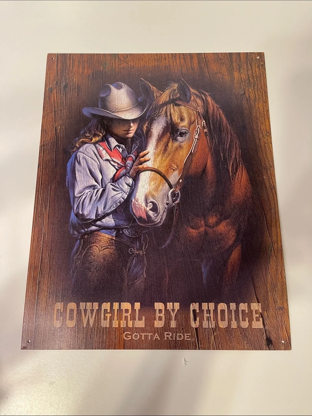 Cowgirl by Choice Tin Wall Art Brown & Blue Rustic Horse Print Made in the USA